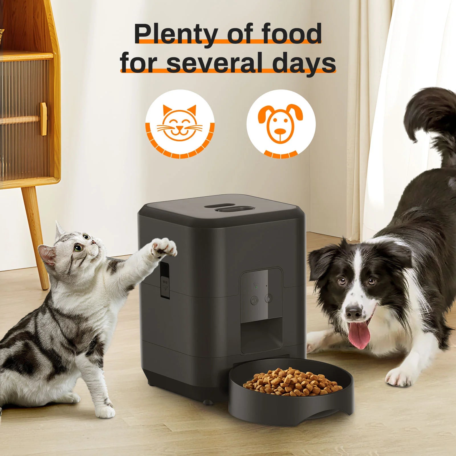 HEYBO Smart Pet Feeder | Automatic, 2L Capacity for Cats & Dogs